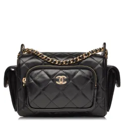 Shiny Crumpled Small Lambskin And Gold Black Camera Case Bag