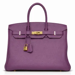 Togo Birkin 35 Anemone And Gold Hardware