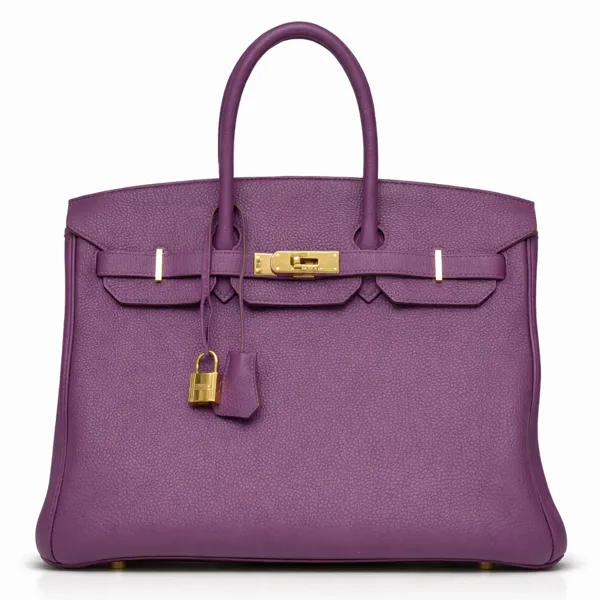 Togo Birkin 35 Anemone and Gold Hardware