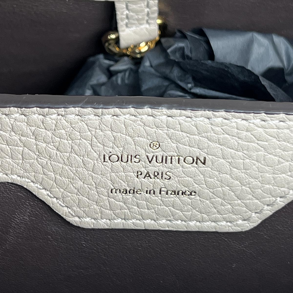 LOUIS VUITTON Capucines MM Taurillon Python Leather Satchel Bag Khaki